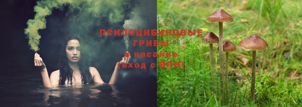 тгк Волоколамск