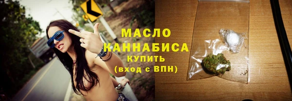 индика Володарск