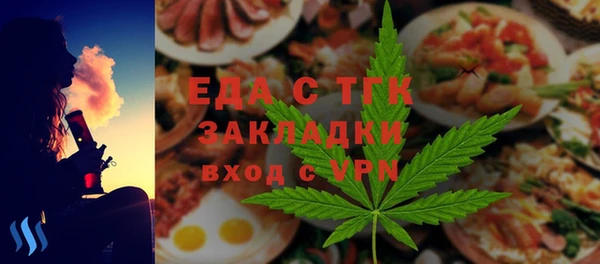 индика Володарск