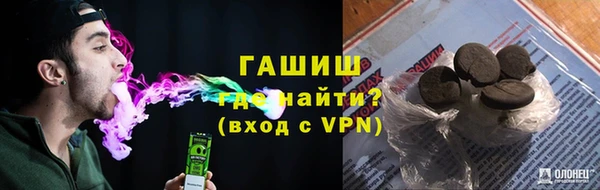индика Володарск