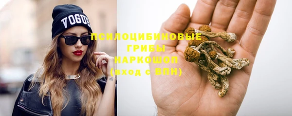 тгк Волоколамск