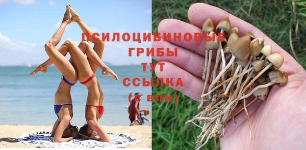 бошки Бугульма