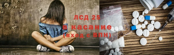 индика Володарск