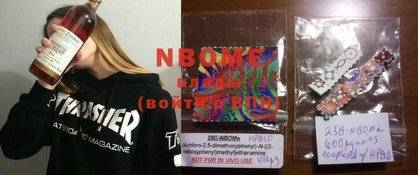 индика Володарск