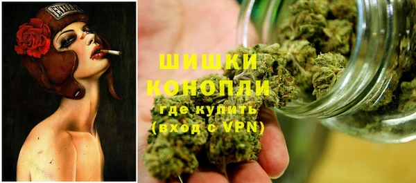 индика Володарск