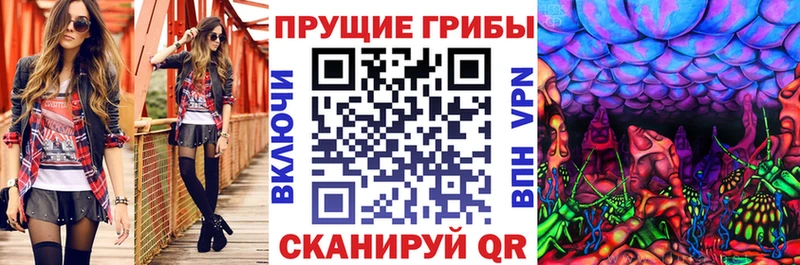 дарнет шоп  Кедровый  Галлюциногенные грибы MAGIC MUSHROOMS 